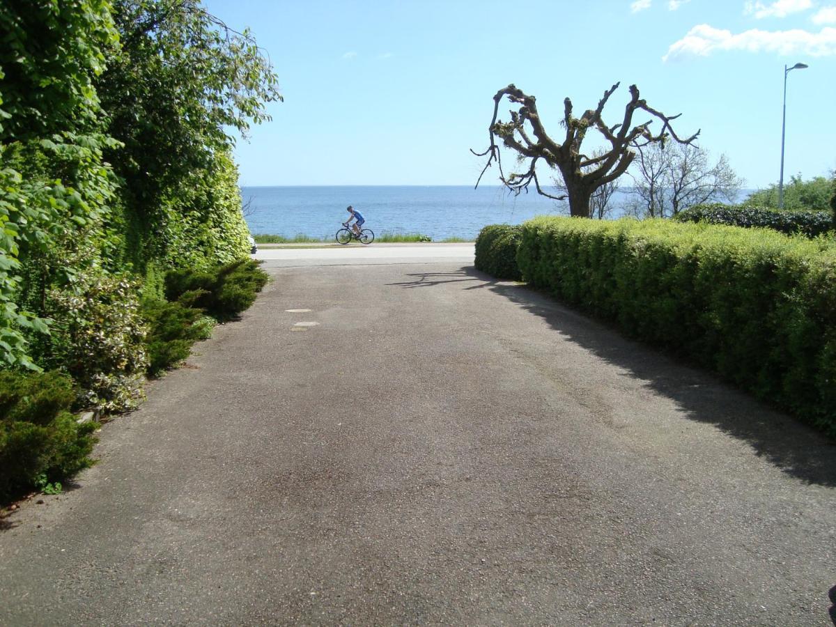 Guest Cottege Villa Ystad Exterior photo